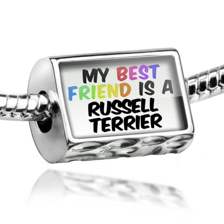 Bead My best Friend a Russell Terrier Dog from England Charm Fits All European