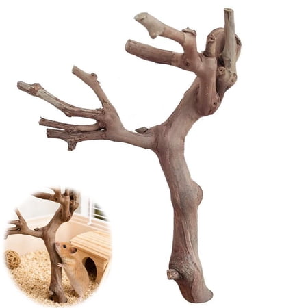 Hamster Toys, Natural Grapevine Climbing Branches Hamster Enrichment Toys, for Hamsters Chinchilla Small Animals Home Cage Pet Store