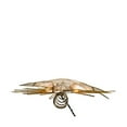 thumbnail image 5 of Kurt Adler 10-Light 14-Inch Gold Glitter Capiz Bethlehem Star Treetop, 5 of 5