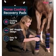 thumbnail image 2 of Botas frías para patas de caballo Ice Pack Magic Gel Twin Boots, 2 of 7