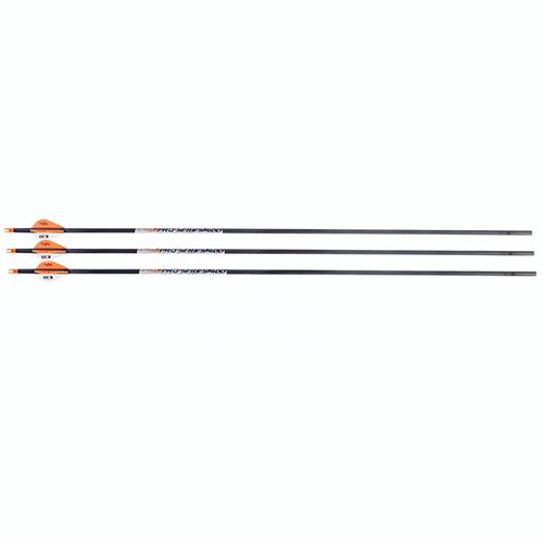 Allen Company Razor RZ600 Archery Carbon Arrows 3 Pack 31-Inch by Allen