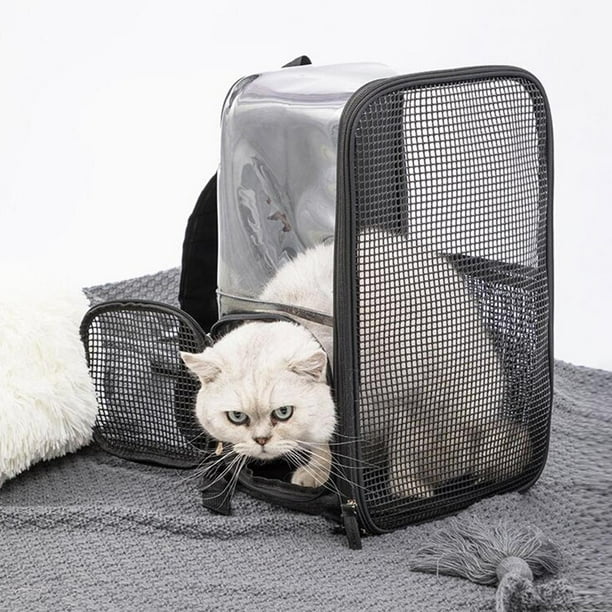 Kitty backpack on sale with window