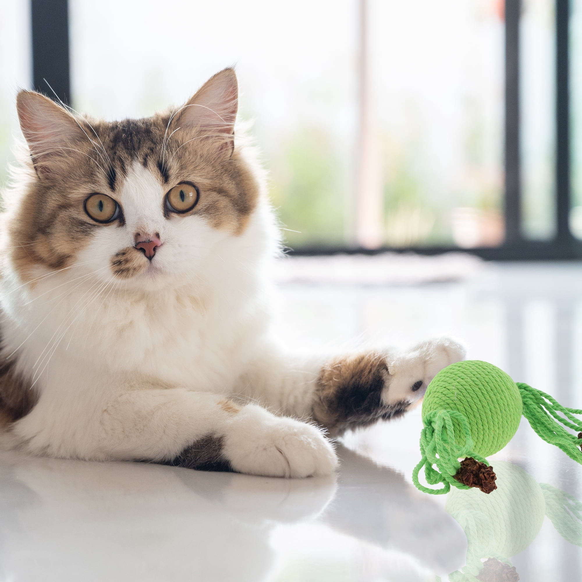 Unique Bargains Cat Playing Ball with Galls Fruit for Indoor Green