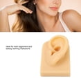 thumbnail image 3 of Soft Silicone Ear Model, 3D Acupuncture Silicone, Reused Ear Displays Mould Soft Professional Ear  Tool For  Practice Earring Display, Acupuncture, Jewelry Display, 3 of 8