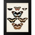 thumbnail image 2 of Vision Studio 19x24 Black Modern Framed Museum Art Print Titled - Vintage Butterflies II, 2 of 5