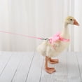thumbnail image 3 of Bangcool Duck Harness Leash Set Breathable Wing Goose Walking Leash Duck Training Leash, 3 of 8