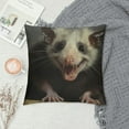 thumbnail image 2 of ARISTURING  Hey Baby Opossum Throw Pillow Cover Cute Animal Pillow Case Decorative Men Women Boy Girl Room Cushion Covers for Home Couch Bed, 2 of 5