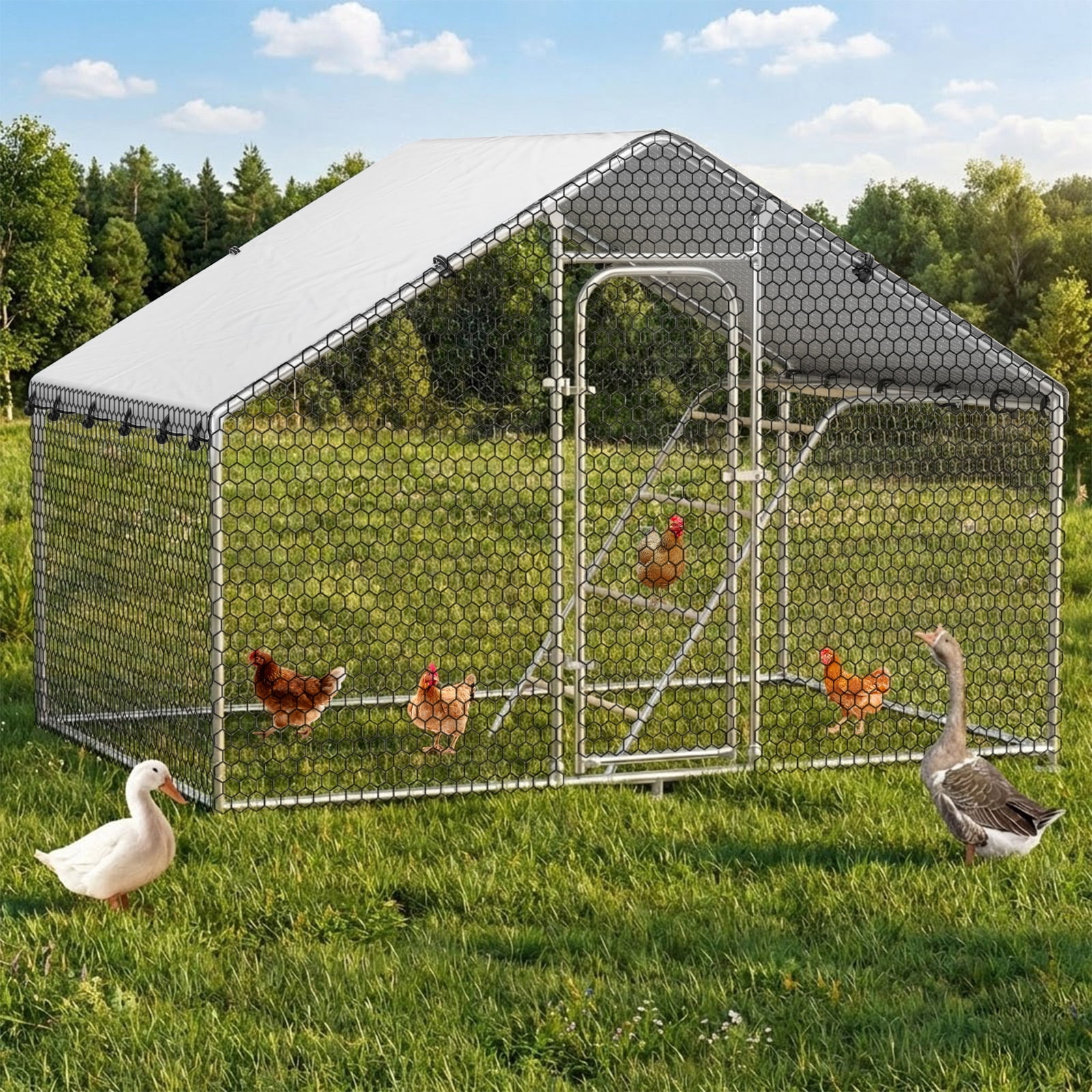 Time Ray Outdoor Chicken Coop with Roosting for 5 Chickens Run Walk-in Metal Poultry Cage for Outdoor Backyard Chicken Run