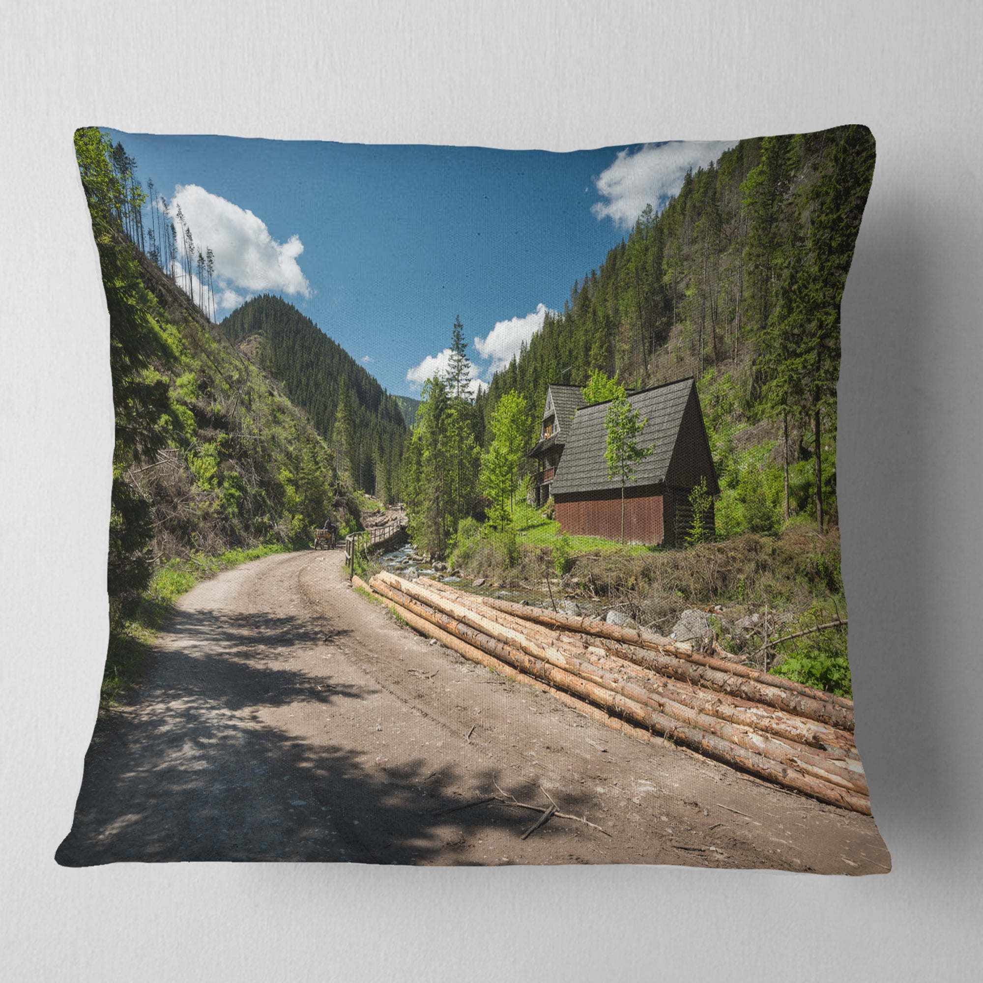 Designart Road in Chocholowska Valley - Landscape Printed Throw Pillow - 16x16