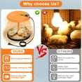thumbnail image 6 of Brooder Heater for Chicks, 10" 15 Chicks Heating Plate with Adjustable Height and Angle Chicken Brooder Warm Like Mother Hen for Ducklings, Chicks, Goslings, and Other Birds, 6 of 8