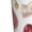 White, variant on Different Meat Print Men's Home Trousers, Elastic Drawstring Home Pajamas Clothing Suitable for Adult Men-3X-Large