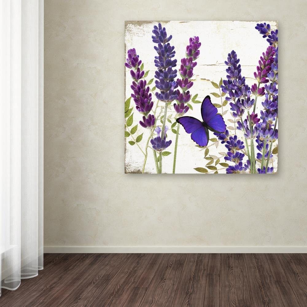 Trademark Fine Art "Lavender I" Canvas Art by Color Bakery