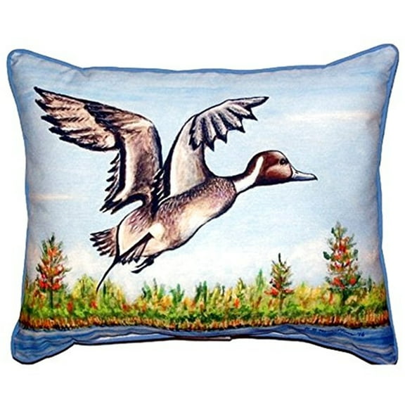 Pintail Duck Large Indoor/Outdoor Pillow 16x20