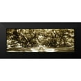 thumbnail image 2 of Hausenflock, Alan 24x11 Black Modern Framed Museum Art Print Titled - Druid Oaks Panel II, 2 of 5