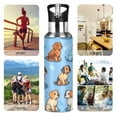thumbnail image 4 of ALAZA Cute Pug Dog Water Bottle Insulated Flask Stainless Steel Straw Lid 20 oz, 4 of 6