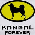 thumbnail image 3 of CafePress - Kangal Dog Women's T Shirt - Women's Classic T-Shirt, 3 of 4