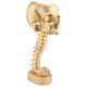 thumbnail image 3 of Resin Skull Planter & Spine Stand Set, Polyresin Skulls Pot, Gold, 3 of 5