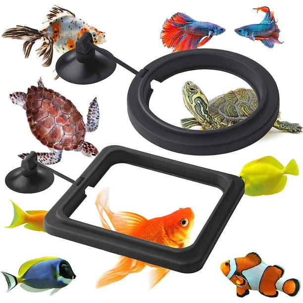 Fish Food Ring, 2 Pieces Fish Food Dispenser Aquarium Tank Accessories  Turtle Food Dispenser Circle For Guppy, Bettas