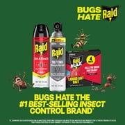 Raid Defend Outdoor Defense System Wasp and Hornet Bug Spray Outdoor Insect Killer, 17.5 oz.
