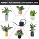 thumbnail image 4 of Remiawy Regadera Regadera de Acero Inoxidable para Interiores y Exteriores para Plantas de Interior Regadera de Caño Largo para Flores de jardín Bonsai suculentas (1300 ml), 4 of 5