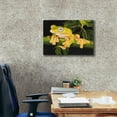 thumbnail image 3 of Epic Graffiti 'Musky Flying Frog' by Barbara Keith, Canvas Wall Art, 26"x18", 3 of 8