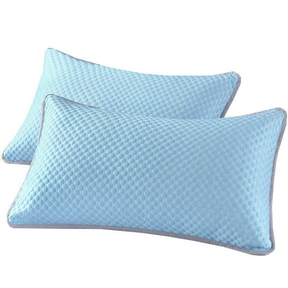 Luoshdecor 2 Pack Cooling Silk Pillow Cases, Summer Pillow Cover Soft Stain Pillowcase Protector(Blue)