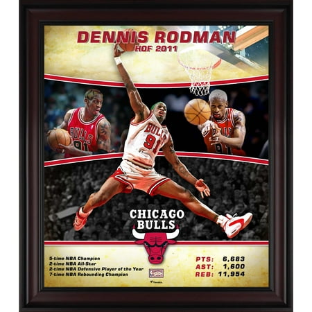 Dennis Rodman Chicago Bulls Framed 15
