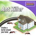 thumbnail image 4 of Bonide Ant Killer Granules Insect Killer Granules 1 lb, 4 of 4