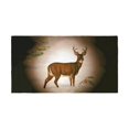 thumbnail image 1 of Betsy Drake BT236 Deer in Snow Beach Towel, 1 of 1