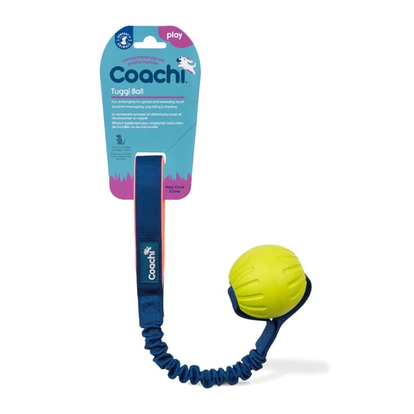 Pelota interactiva para perros Coachi Tuggi para tira y afloja