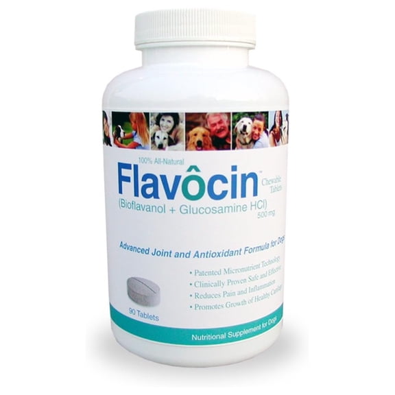 Flavocin Glucosamine Chondroitin for Dogs