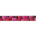 thumbnail image 2 of Country Brook Design® 1 inch Romantic Hearts Polyester Webbing, 5 Yards, 2 of 4