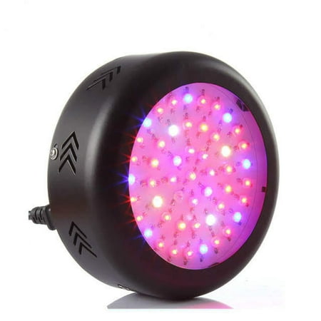Reiz Rz1811 Profession 3pcs Set 40mm 1 Star Table Tennis Balls