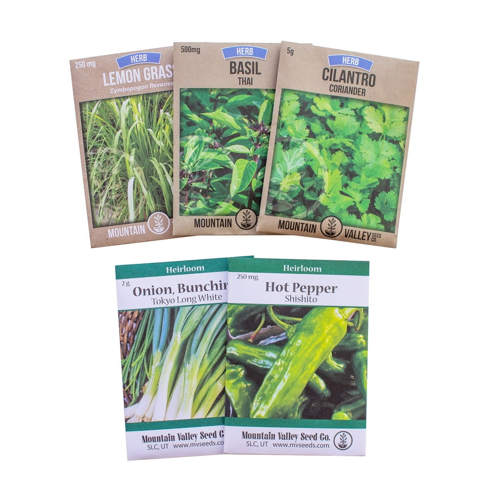 Asian Herb Garden Seed Collection 5 NonGMO Culinary Herb Seed