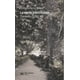 thumbnail image 1 of La Noche Interminable Greco Hernandez Ramirez, 1 of 2