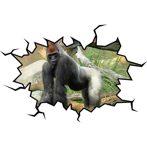 VWAQ Gorilla Wall Decal Silverback Gorilla Art Decor VWAQ-WC29 (24"H X 30"W)