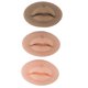 thumbnail image 1 of D Labios de práctica falsos, 3 piezas Labios de práctica de tatuaje Microblading Práctica de labios Entrenamiento D Entrenamiento Tatuaje Práctica de labios Construcción robusta, 1 of 8