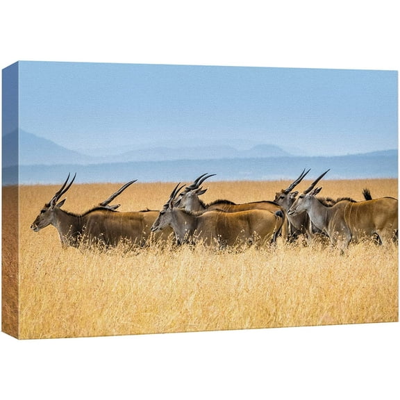 wall26 Canvas Print Wall Art Wild African Safari Jungle Antelope Gazelle Nature Animals Photography Realism Rustic Scenic Landscape Wilderness Zen Colorful for Living Room, Bedroom, Office - 16"