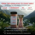 thumbnail image 3 of Himalayan Pink Salt Coarse Grain XL 1.2 lb. Bottle Grinder Refill Nutrient and Mineral Dense Salt Crystals by SPQR Seasonings, 3 of 12