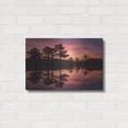 thumbnail image 3 of Luxe Metal Art 'Swamp on Fire' by Martin Podt, Metal Wall Art, 24" x 16", 3 of 8