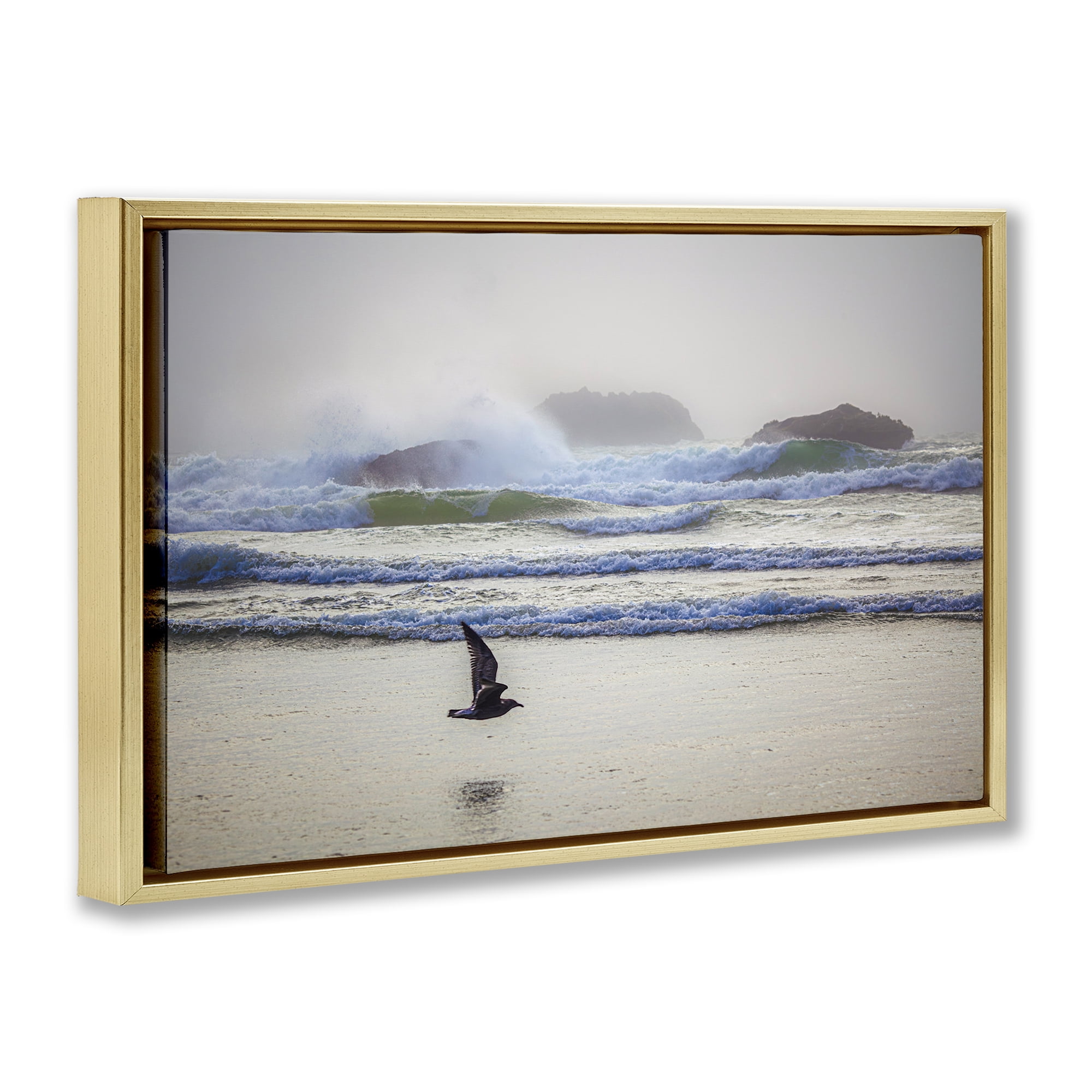 Stupell Industries Flying Low over Shore Landscape & Nature Photography Gold Floater Framed Canvas Art Print Wall Art, 31 x 21