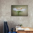 thumbnail image 3 of Epic Graffiti 'Summer Swirl' by Mandy Disher, Giclee Canvas Wall Art, 40"x26", 3 of 8
