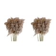 thumbnail image 1 of Bearachild Ramo de flores de junco de hierba de pampa seca Natural 10x decoración del hogar 2piezas 30-40 cm, 1 of 1