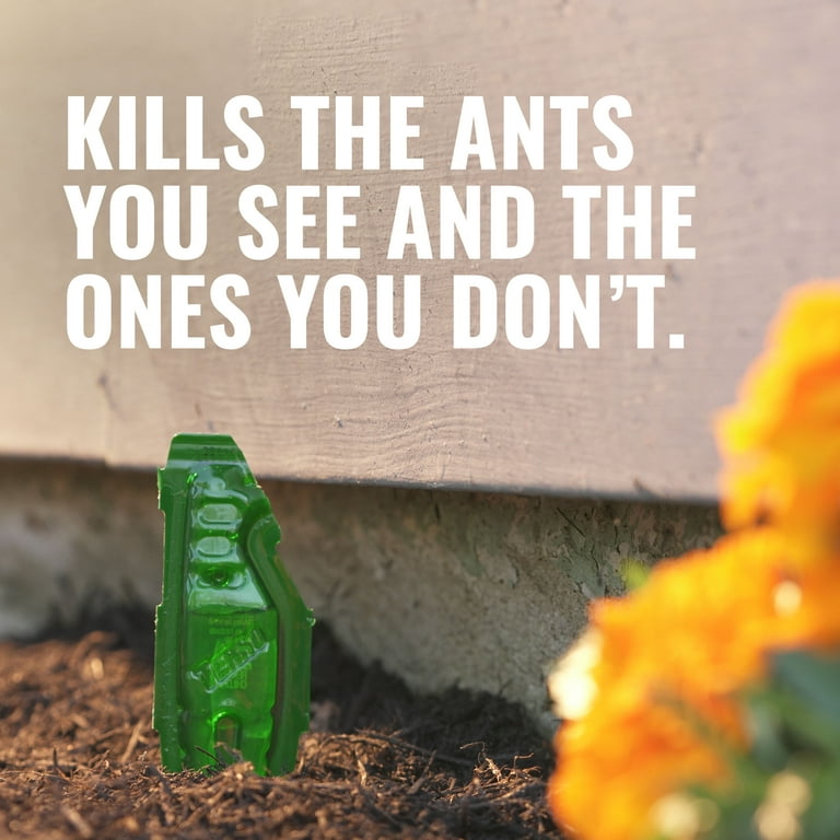 Terro Outdoor Liquid Ant Bait Stakes, 8ct - Household Ant Traps