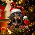thumbnail image 6 of KCEHTA Dachshund Christmas Ornaments 2024, Dachshund Christmas Decor, Dog Ornaments for Christmas Tree, Personalized Cute 2D Acrylic Dachshund Dog Christmas Tree Hanging Ornaments, 6 of 7