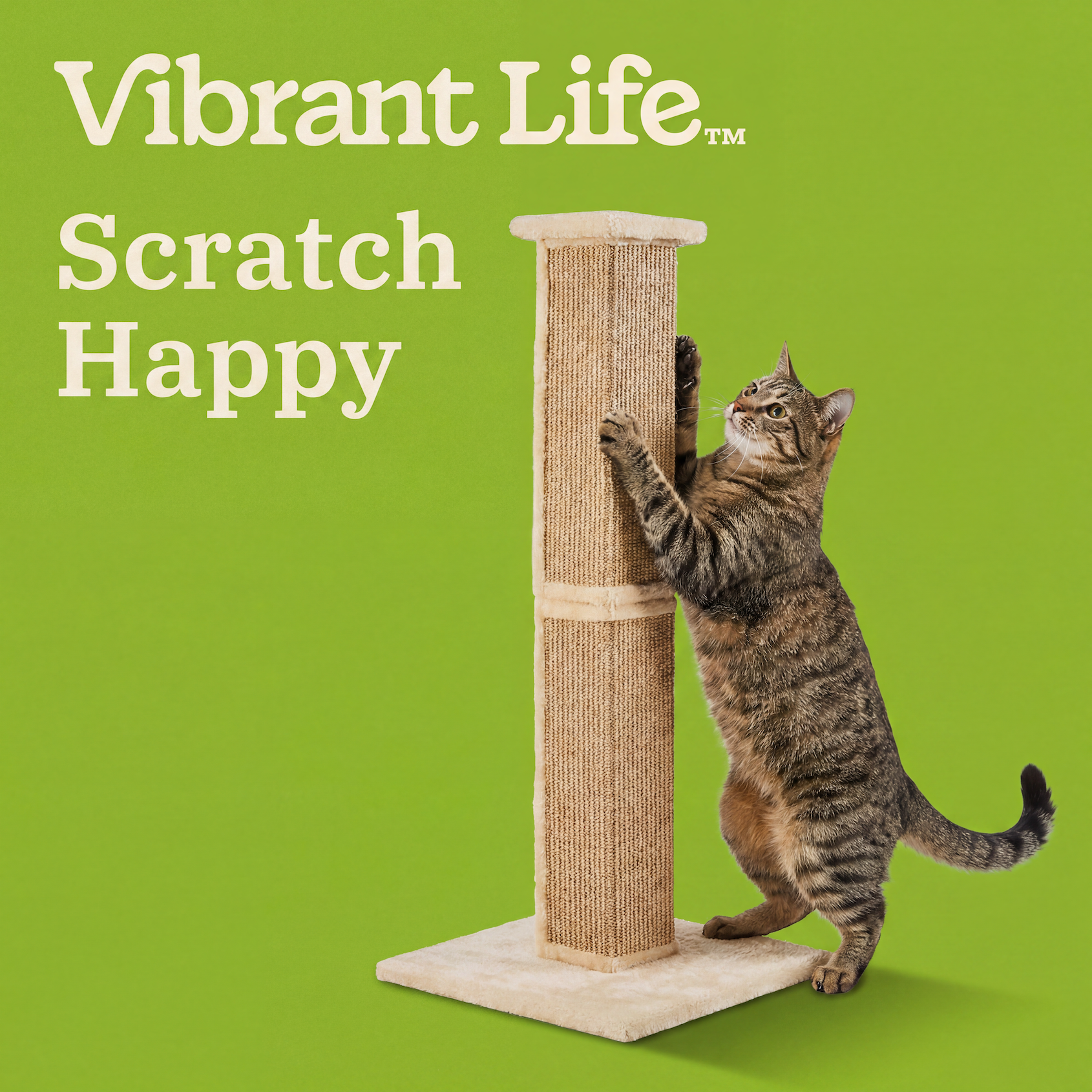 Vibrant Life Heavy Duty Cat Scratcher Post, 34 Inch photo 4