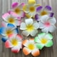 thumbnail image 4 of BRIGHTFUFU 12 pinzas para el pelo de plumeria, pasadores de playa de verano, accesorios para el pelo de plumeria., 4 of 8