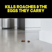 Raid Double Control Large Roach Baits, Kills Cockroaches and Bugs, 8 Bait Stations