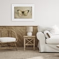 thumbnail image 2 of Stupell Industries Graceful Vintage Butterfly White Framed Print Under Glass, design by Creative Studio, 17 x 23, 2 of 10
