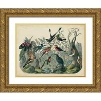 Unknown 24x19 Gold Ornate Wood Framed with Double Matting Museum Art Print Titled - Habitat for Birds